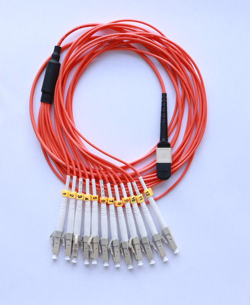 MTP/MPO Fiber jumper 001